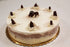 Organic Chocolate and Vanilla Bavarois