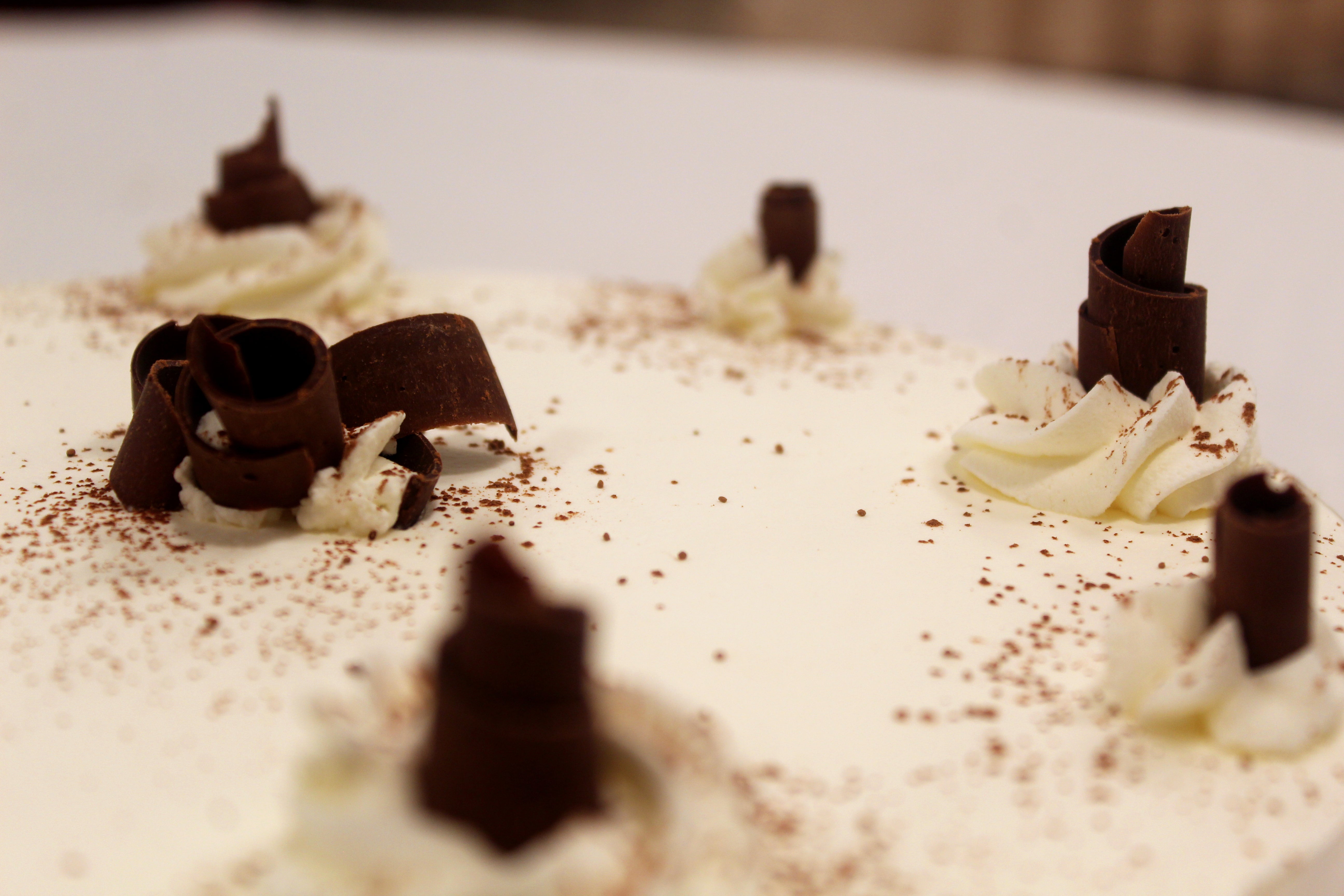 Organic Chocolate and Vanilla Bavarois