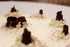 Organic Chocolate and Vanilla Bavarois