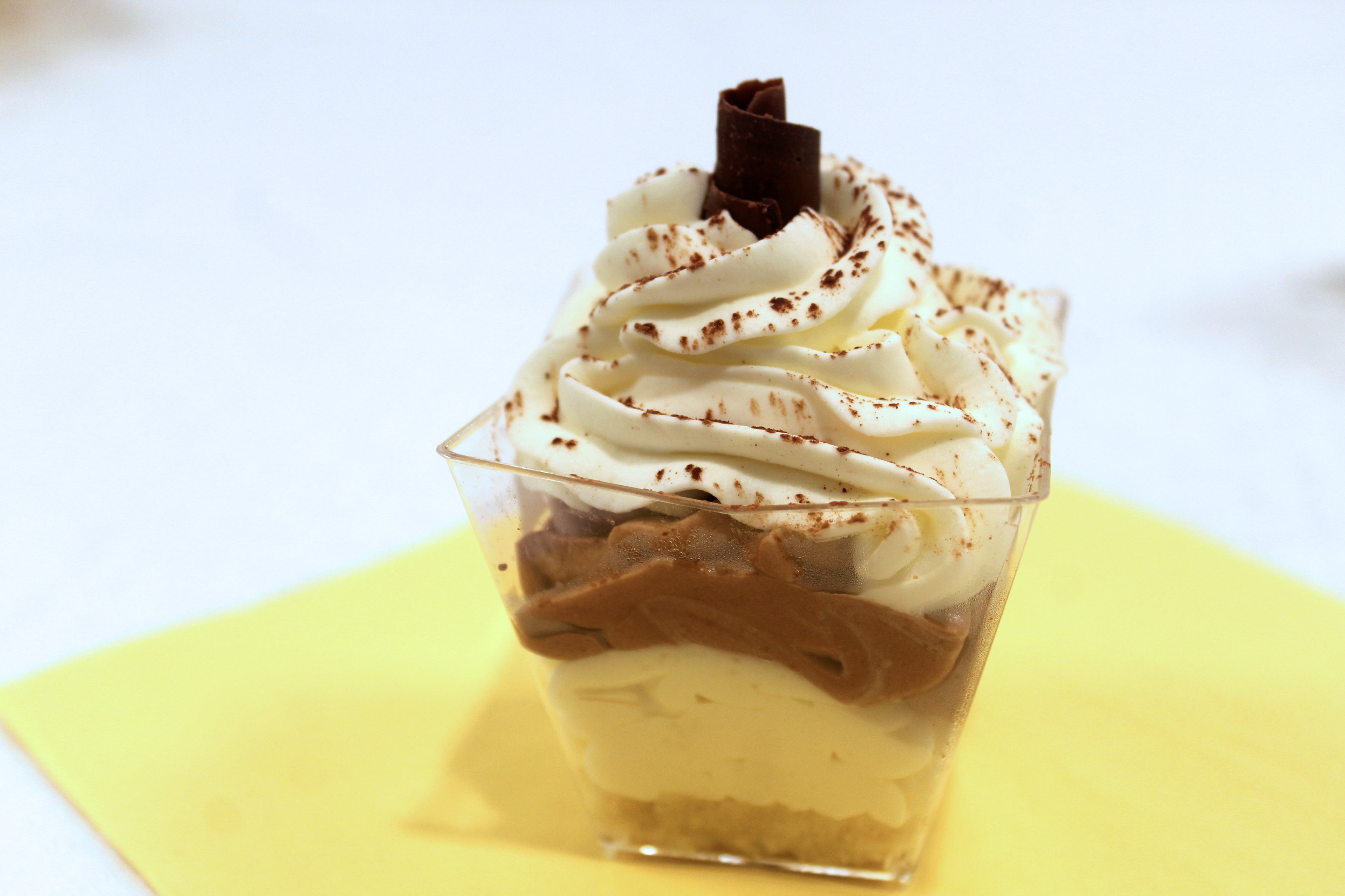 Organic Mini Chocolate and Vanilla Bavarois
