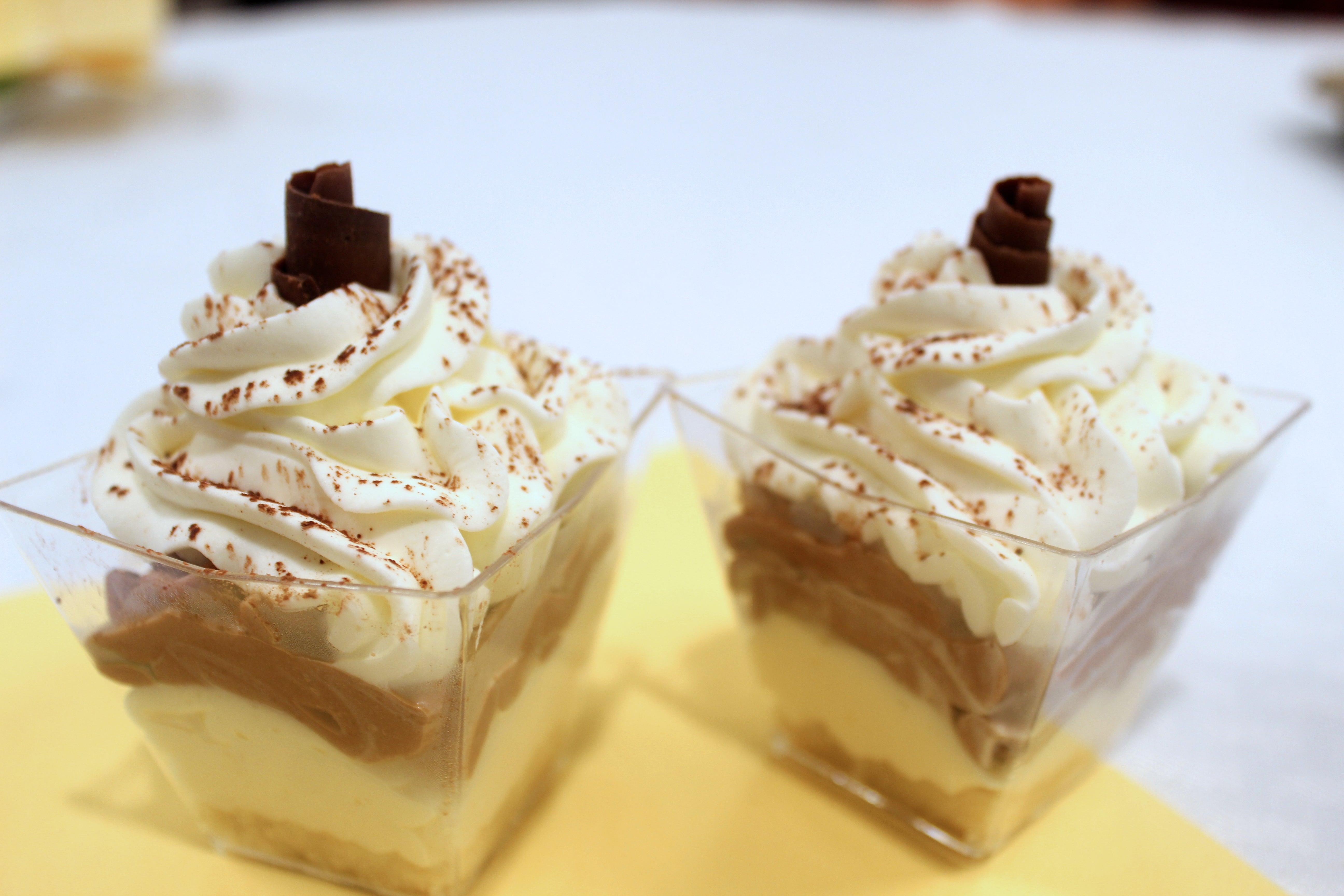 Organic Mini Chocolate and Vanilla Bavarois
