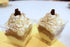 Organic Mini Chocolate and Vanilla Bavarois